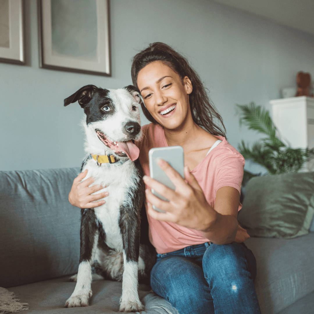 Pet-Friendly Stays